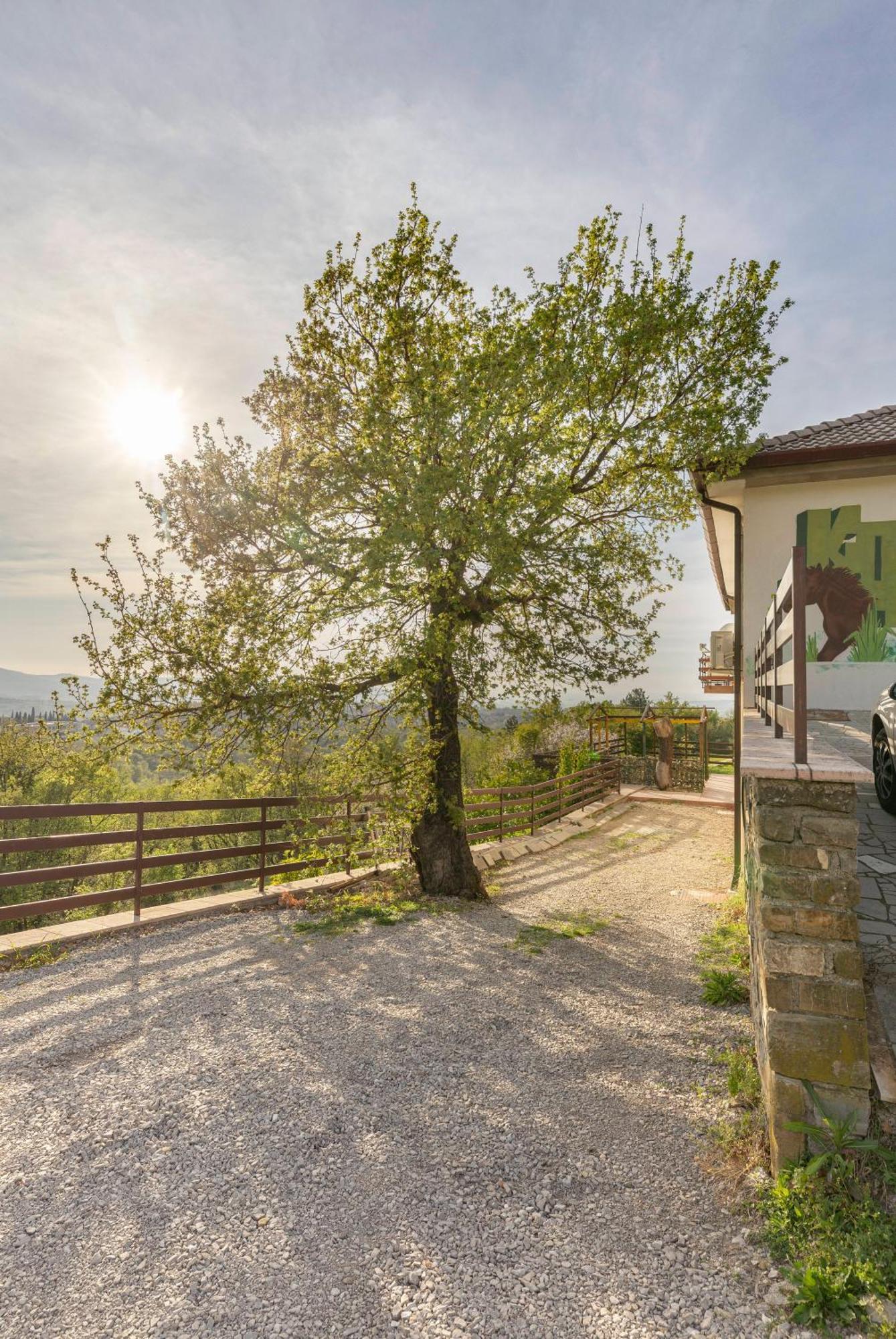 Apartments Souranded By Forest With Sea View Копер Экстерьер фото