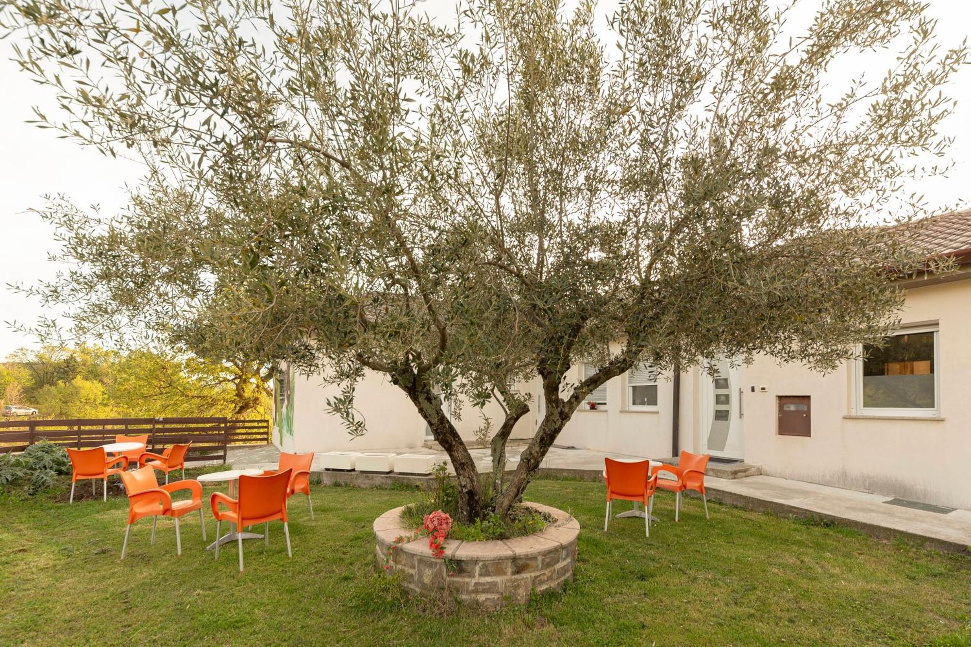 Apartments Souranded By Forest With Sea View Копер Экстерьер фото